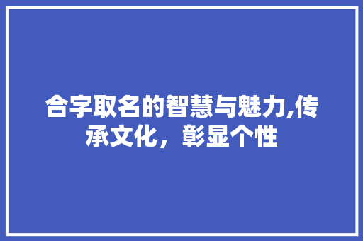 合字取名的智慧与魅力,传承文化，彰显个性