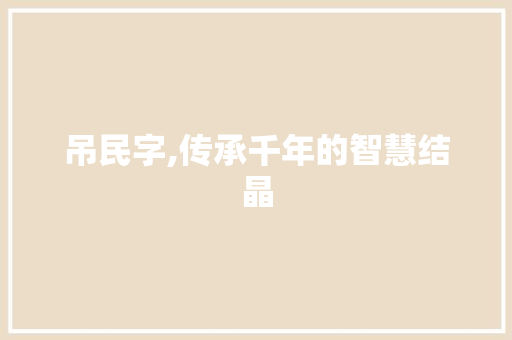 吊民字,传承千年的智慧结晶
