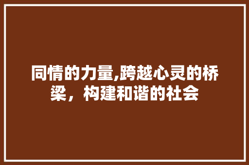 同情的力量,跨越心灵的桥梁，构建和谐的社会