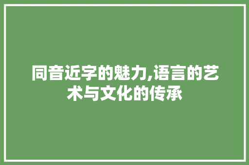 同音近字的魅力,语言的艺术与文化的传承
