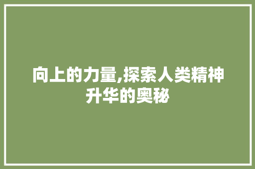 向上的力量,探索人类精神升华的奥秘