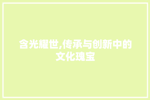 含光耀世,传承与创新中的文化瑰宝