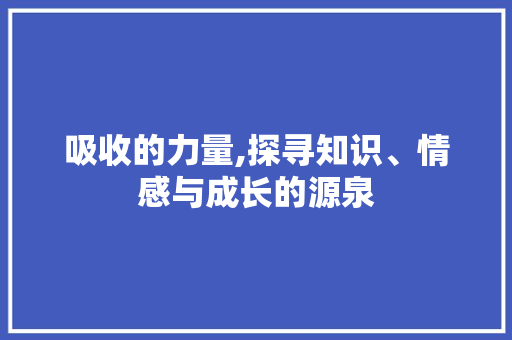吸收的力量,探寻知识、情感与成长的源泉