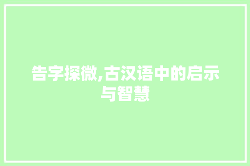 告字探微,古汉语中的启示与智慧