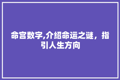 命宫数字,介绍命运之谜，指引人生方向