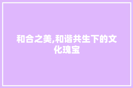 和合之美,和谐共生下的文化瑰宝