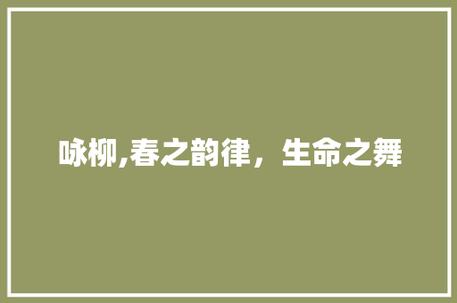 咏柳,春之韵律，生命之舞