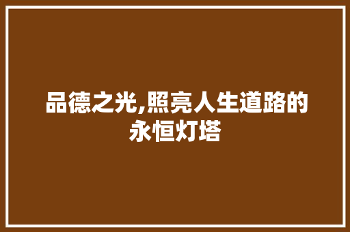 品德之光,照亮人生道路的永恒灯塔
