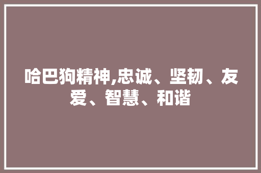 哈巴狗精神,忠诚、坚韧、友爱、智慧、和谐