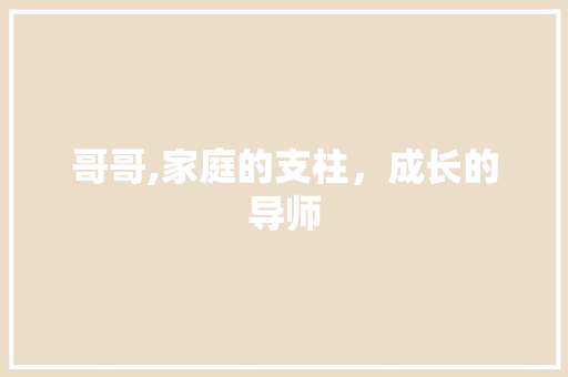 哥哥,家庭的支柱，成长的导师