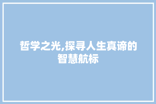 哲学之光,探寻人生真谛的智慧航标