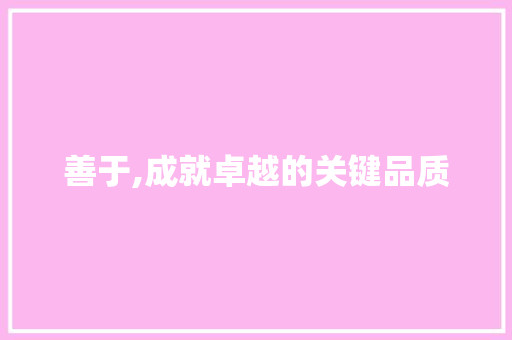 善于,成就卓越的关键品质