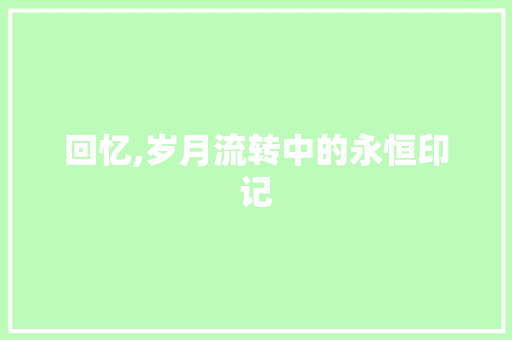 回忆,岁月流转中的永恒印记