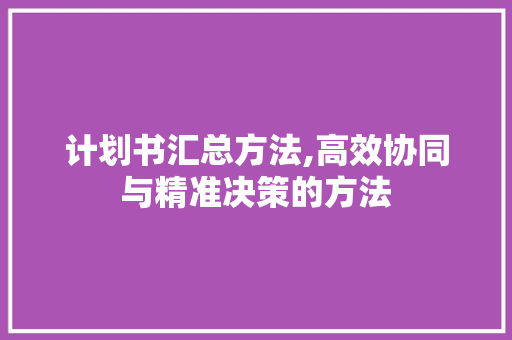 计划书汇总方法,高效协同与精准决策的方法