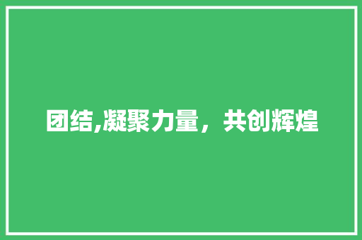 团结,凝聚力量，共创辉煌
