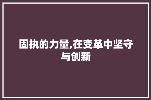 固执的力量,在变革中坚守与创新