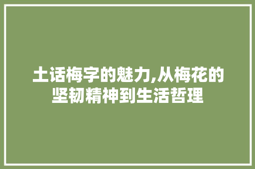 土话梅字的魅力,从梅花的坚韧精神到生活哲理