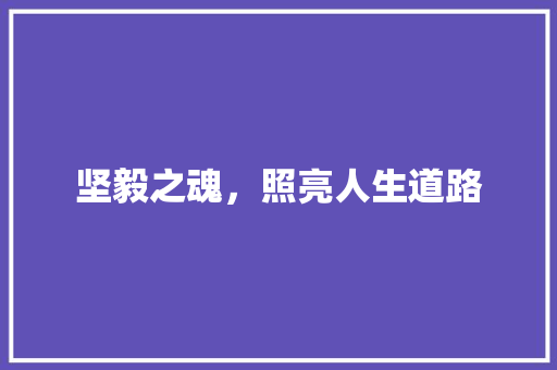 坚毅之魂，照亮人生道路