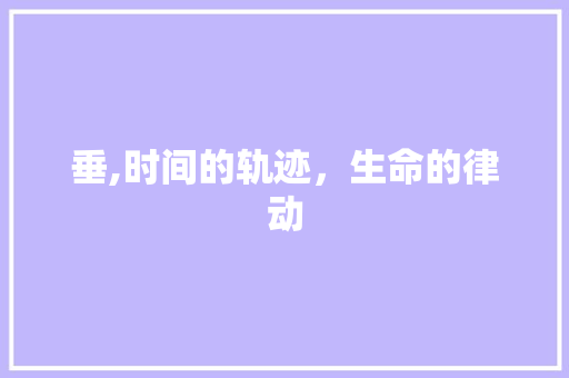 垂,时间的轨迹，生命的律动