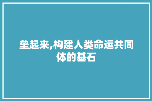 垒起来,构建人类命运共同体的基石