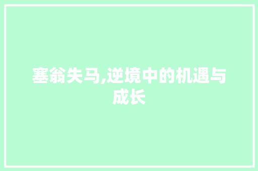 塞翁失马,逆境中的机遇与成长