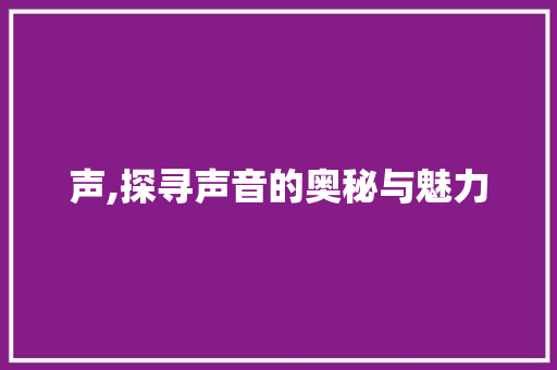 声,探寻声音的奥秘与魅力