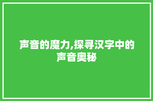 声音的魔力,探寻汉字中的声音奥秘