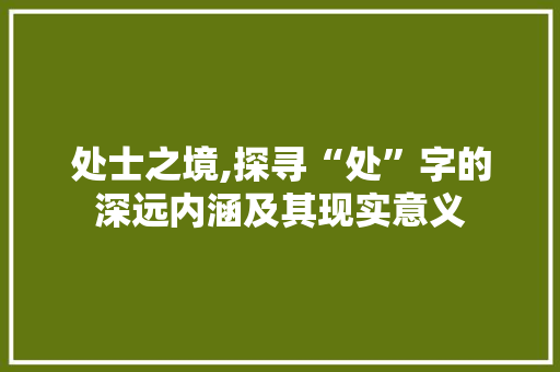 处士之境,探寻“处”字的深远内涵及其现实意义
