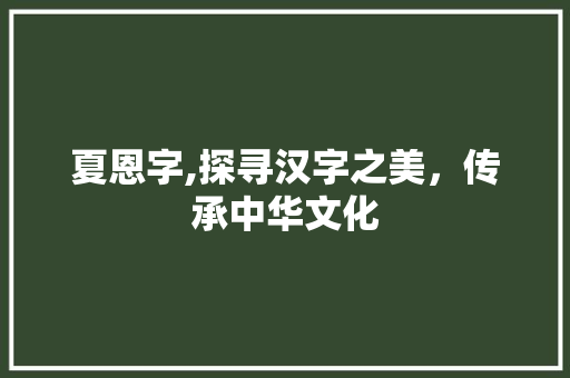 夏恩字,探寻汉字之美，传承中华文化