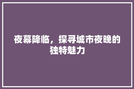 夜幕降临，探寻城市夜晚的独特魅力