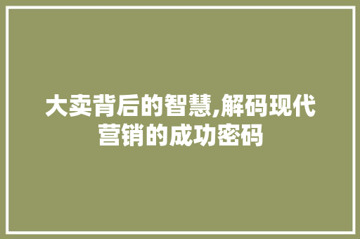 大卖背后的智慧,解码现代营销的成功密码