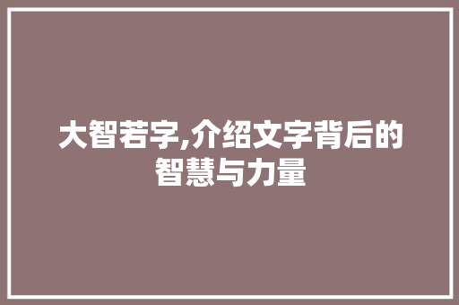 大智若字,介绍文字背后的智慧与力量