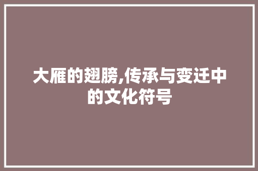 大雁的翅膀,传承与变迁中的文化符号
