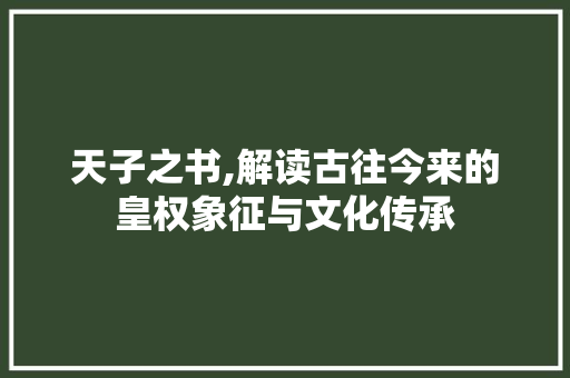 天子之书,解读古往今来的皇权象征与文化传承