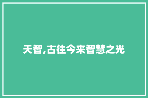 天智,古往今来智慧之光