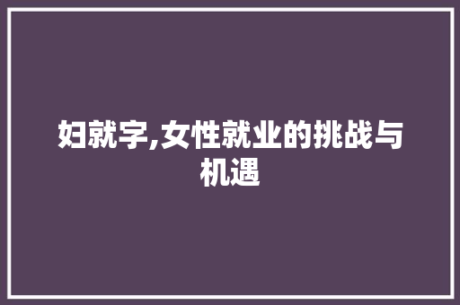 妇就字,女性就业的挑战与机遇
