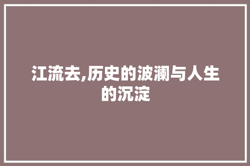 江流去,历史的波澜与人生的沉淀