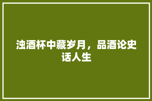 浊酒杯中藏岁月，品酒论史话人生