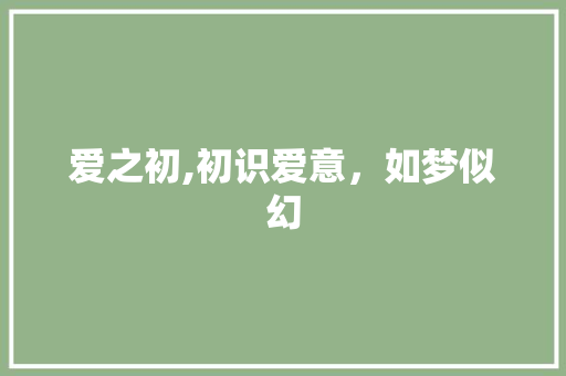 爱之初,初识爱意，如梦似幻