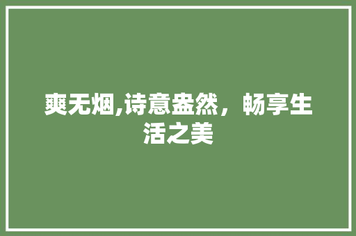 爽无烟,诗意盎然，畅享生活之美