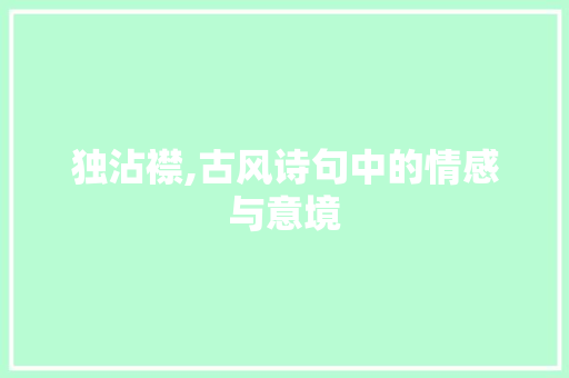 独沾襟,古风诗句中的情感与意境