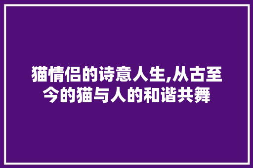 猫情侣的诗意人生,从古至今的猫与人的和谐共舞