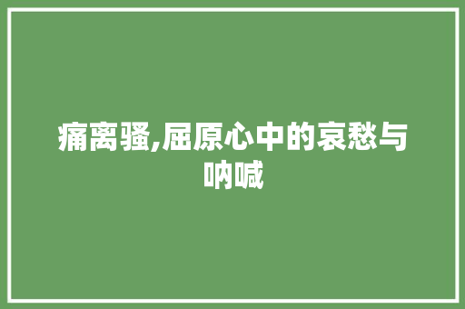 痛离骚,屈原心中的哀愁与呐喊