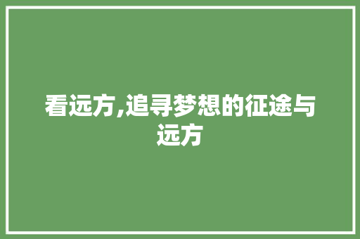 看远方,追寻梦想的征途与远方