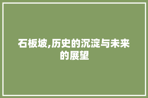 石板坡,历史的沉淀与未来的展望