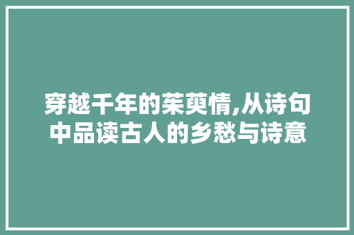 穿越千年的茱萸情,从诗句中品读古人的乡愁与诗意