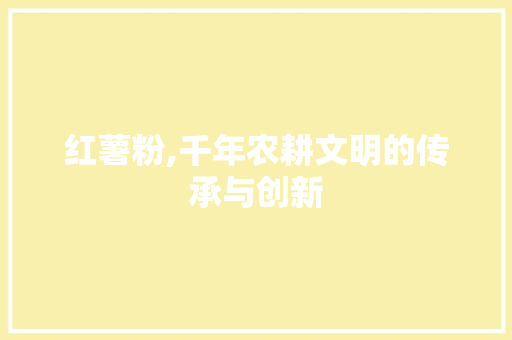 红薯粉,千年农耕文明的传承与创新