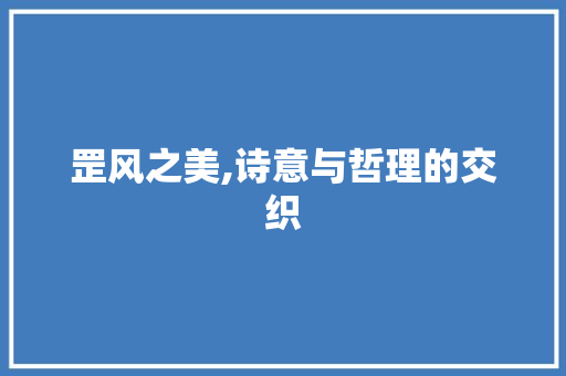 罡风之美,诗意与哲理的交织
