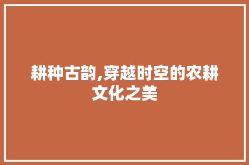 耕种古韵,穿越时空的农耕文化之美