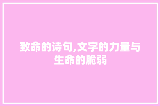 致命的诗句,文字的力量与生命的脆弱